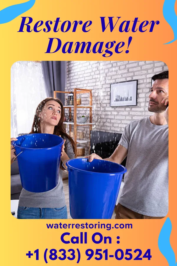 water restoration National Restoration Solutions Specialists Sylvania