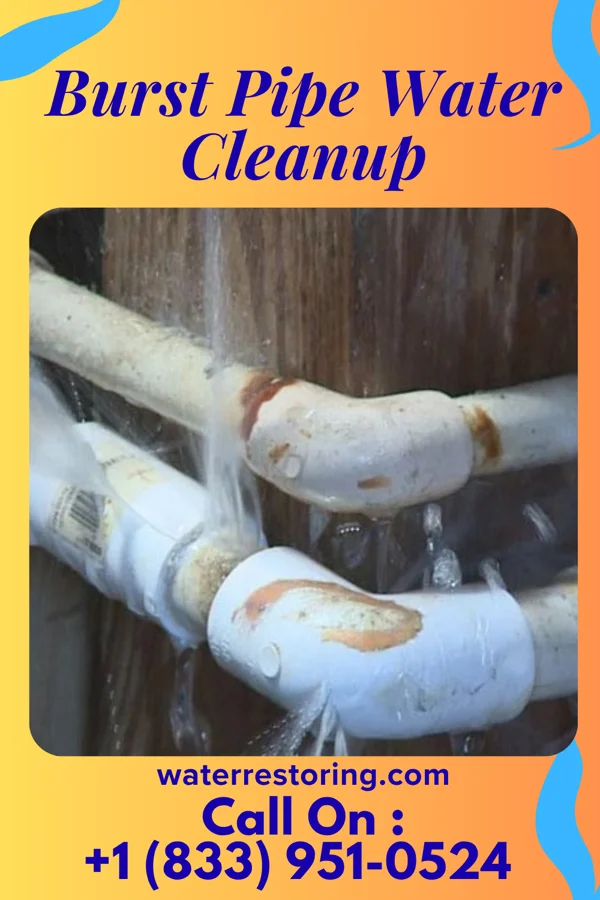 Burst Pipe Water Cleanup in Sylvania, PA