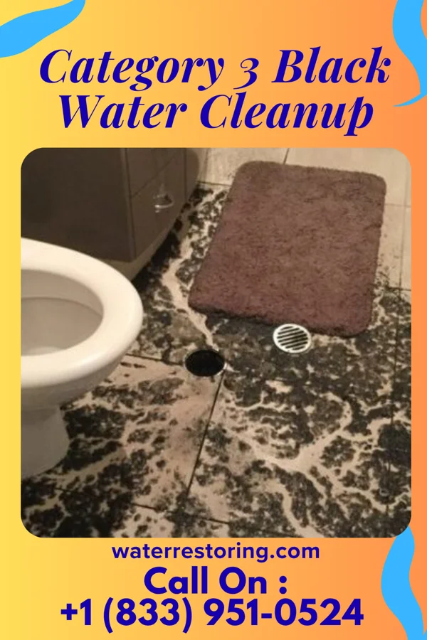 Category 3 Black Water Cleanup in Sylvania, PA