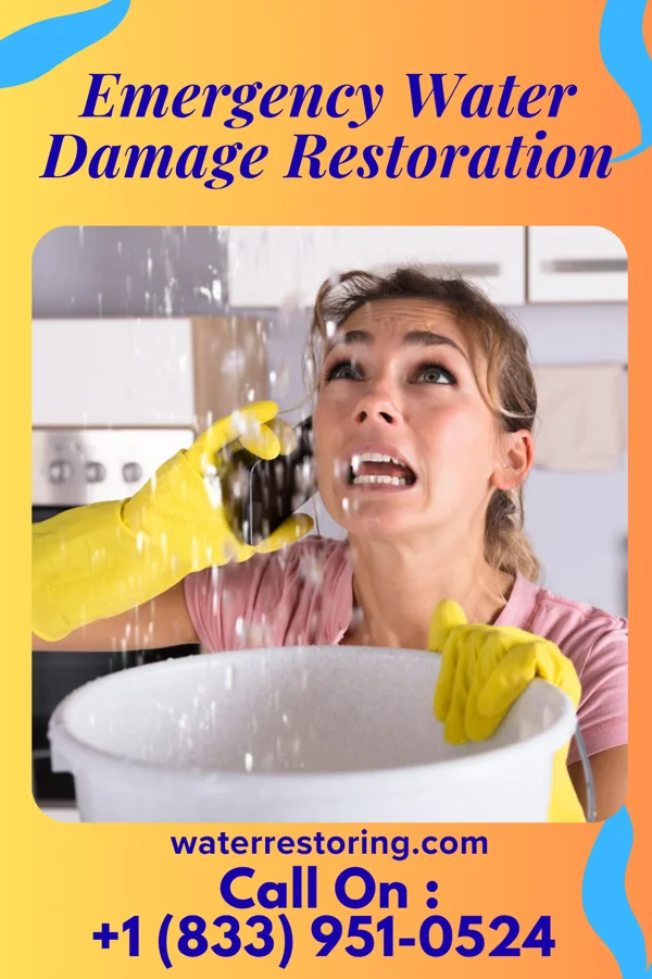 Emergency Water Damage Restoration in Sylvania, PA