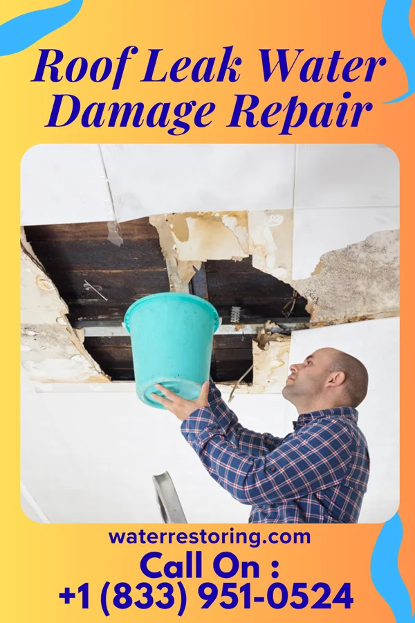 Roof Leak Water Damage Repair in Sylvania, PA