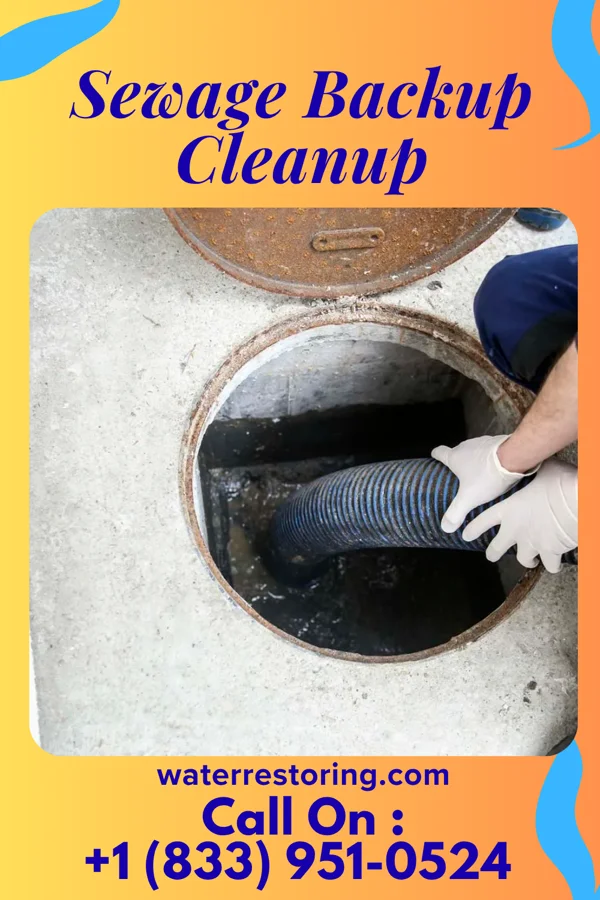 Sewage Backup Cleanup in Sylvania, PA
