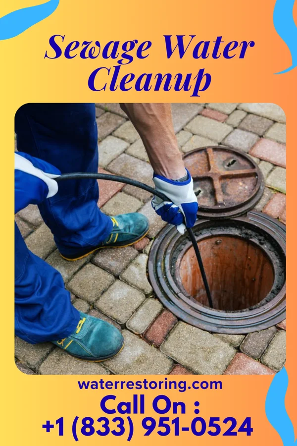 Sewage Water Cleanup in Sylvania, PA