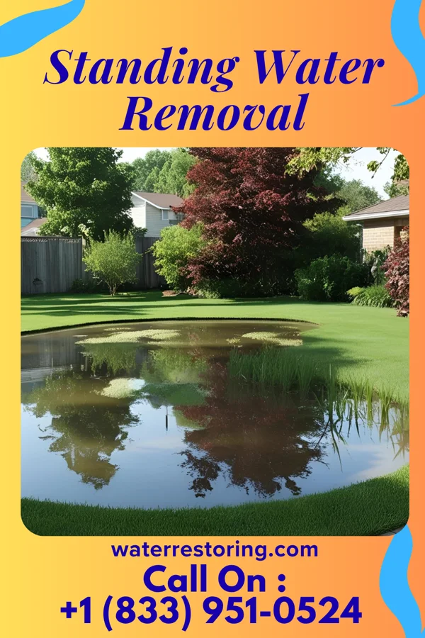 Standing Water Removal in Sylvania, PA